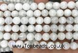 CMS2368 15 inches 8mm round white moonstone beads wholesale