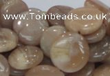 CMS24 15.5 inches 18mm flat round moonstone gemstone beads wholesale