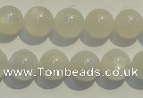 CMS253 15.5 inches 12mm round natural moonstone gemstone beads