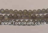 CMS300 15.5 inches 5mm round natural grey moonstone beads wholesale