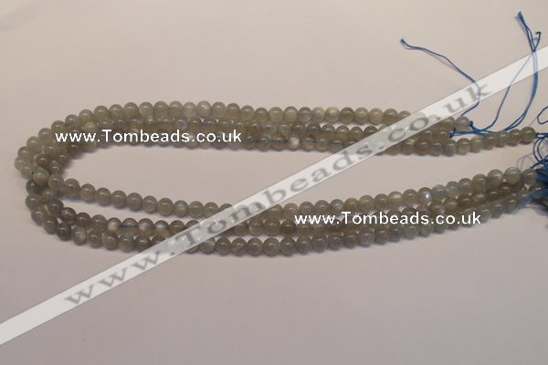 CMS300 15.5 inches 5mm round natural grey moonstone beads wholesale