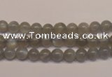 CMS301 15.5 inches 6mm round natural grey moonstone beads wholesale