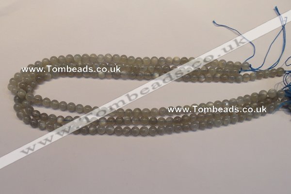 CMS301 15.5 inches 6mm round natural grey moonstone beads wholesale