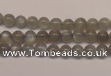 CMS302 15.5 inches 7mm round natural grey moonstone beads wholesale