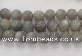 CMS303 15.5 inches 8mm round natural grey moonstone beads wholesale