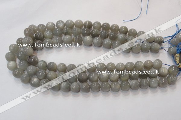 CMS303 15.5 inches 8mm round natural grey moonstone beads wholesale