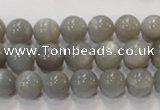 CMS305 15.5 inches 10mm round natural grey moonstone beads wholesale