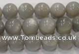 CMS307 15.5 inches 12mm round natural grey moonstone beads wholesale