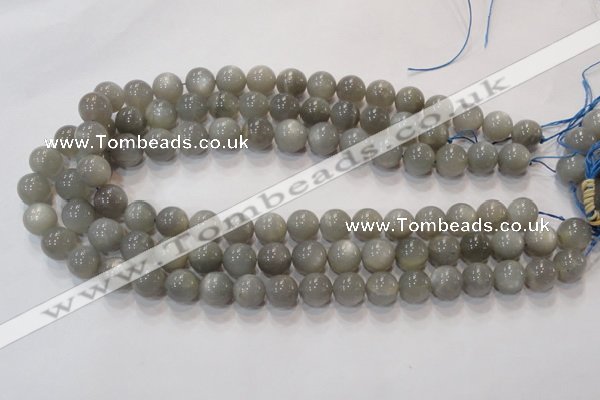 CMS307 15.5 inches 12mm round natural grey moonstone beads wholesale