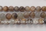 CMS310 15.5 inches 6mm round natural moonstone beads wholesale