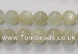 CMS312 15.5 inches 8mm round natural moonstone beads wholesale