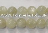 CMS313 15.5 inches 10mm round natural moonstone beads wholesale