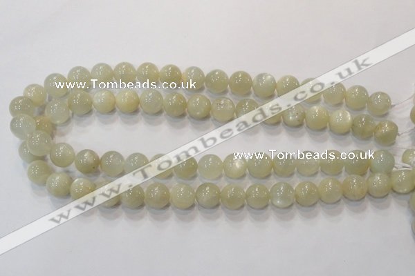 CMS313 15.5 inches 10mm round natural moonstone beads wholesale