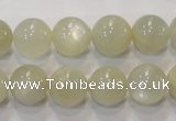 CMS314 15.5 inches 12mm round natural moonstone beads wholesale