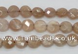 CMS43 15.5 inches 8mm faceted coin moonstone gemstone beads