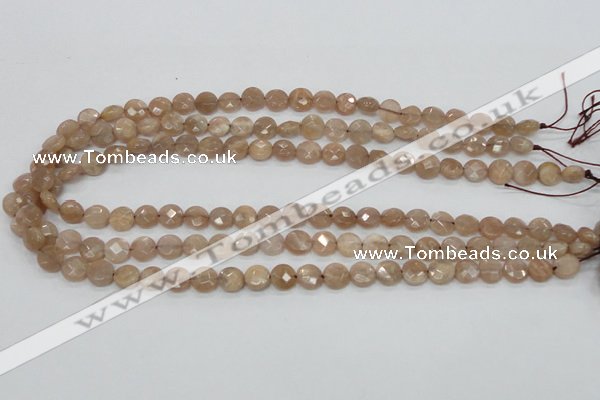 CMS43 15.5 inches 8mm faceted coin moonstone gemstone beads