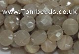 CMS44 15.5 inches 10mm faceted coin moonstone gemstone beads