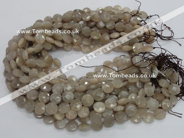 CMS44 15.5 inches 10mm faceted coin moonstone gemstone beads