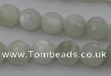 CMS453 15.5 inches 8mm faceted round white moonstone gemstone beads