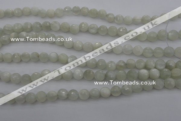 CMS453 15.5 inches 8mm faceted round white moonstone gemstone beads