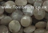 CMS46 15.5 inches 14mm faceted coin moonstone gemstone beads