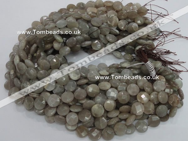 CMS46 15.5 inches 14mm faceted coin moonstone gemstone beads