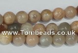 CMS503 15.5 inches 8mm round moonstone beads wholesale