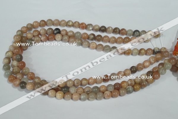 CMS503 15.5 inches 8mm round moonstone beads wholesale