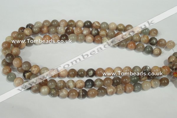 CMS504 15.5 inches 10mm round moonstone beads wholesale