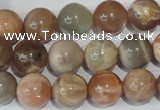 CMS505 15.5 inches 12mm round moonstone beads wholesale