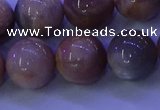 CMS506 15.5 inches 14mm round moonstone beads wholesale