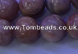 CMS507 15.5 inches 16mm round moonstone beads wholesale