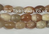 CMS511 15.5 inches 8*12mm rice moonstone beads wholesale