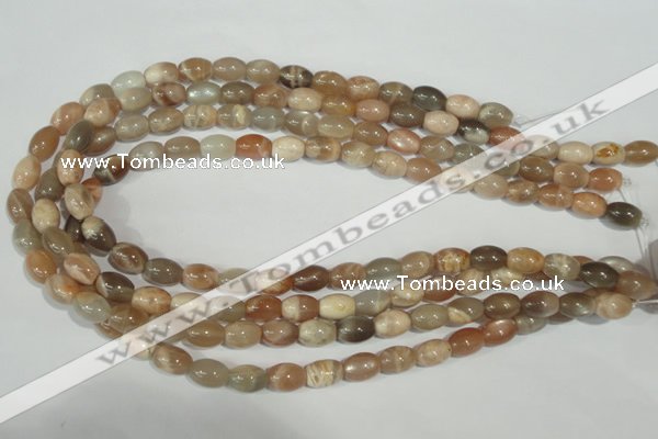 CMS511 15.5 inches 8*12mm rice moonstone beads wholesale