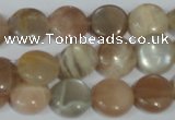 CMS521 15.5 inches 12mm flat round moonstone beads wholesale