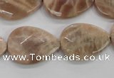 CMS55 15.5 inches 18*25mm faceted flat teardrop moonstone beads