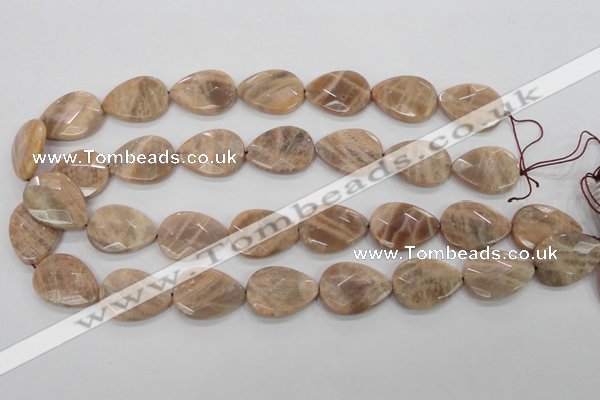 CMS55 15.5 inches 18*25mm faceted flat teardrop moonstone beads