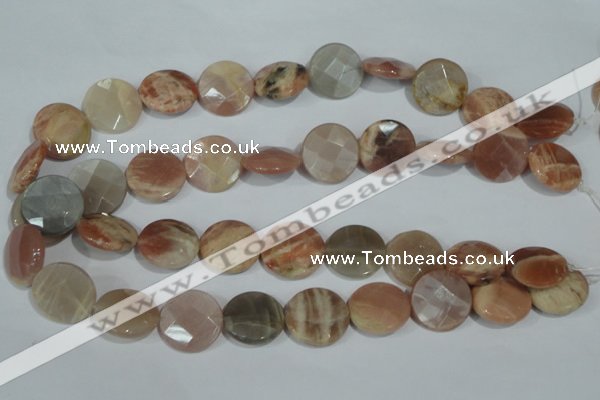 CMS558 15.5 inches 20mm faceted coin moonstone beads wholesale