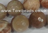 CMS577 15.5 inches 20mm faceted round moonstone beads wholesale