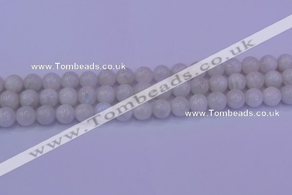 CMS643 15.5 inches 10mm round white moonstone beads wholesale