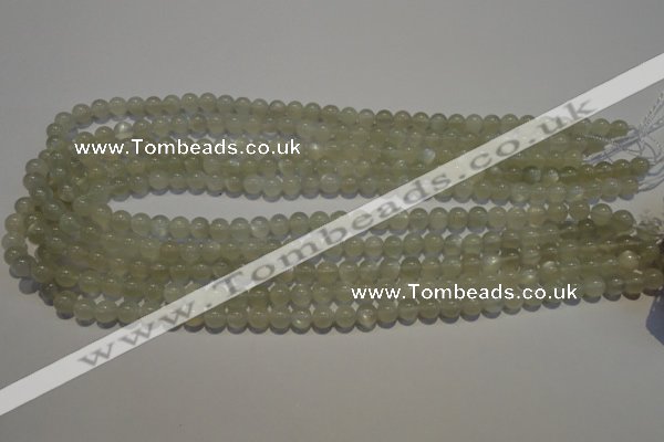 CMS651 15.5 inches 6mm round grey moonstone beads wholesale