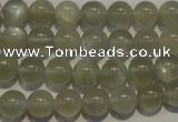 CMS652 15.5 inches 8mm round grey moonstone beads wholesale