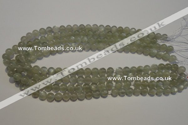 CMS652 15.5 inches 8mm round grey moonstone beads wholesale