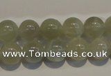 CMS653 15.5 inches 10mm round grey moonstone beads wholesale