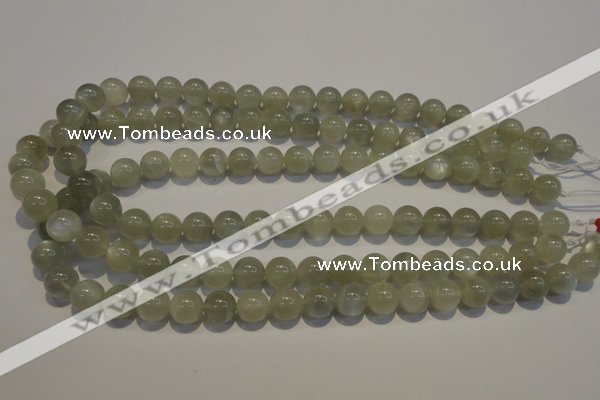 CMS653 15.5 inches 10mm round grey moonstone beads wholesale