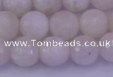 CMS663 15.5 inches 10mm faceted round white moonstone beads