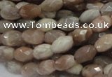 CMS70 15.5 inches 6*10mm faceted rice moonstone gemstone beads