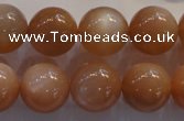 CMS736 15.5 inches 16mm round A grade natural peach moonstone beads