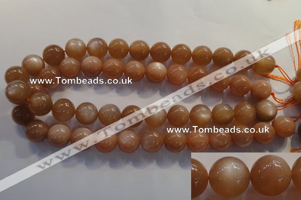 CMS736 15.5 inches 16mm round A grade natural peach moonstone beads