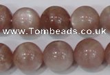 CMS756 15.5 inches 14mm round natural moonstone beads wholesale